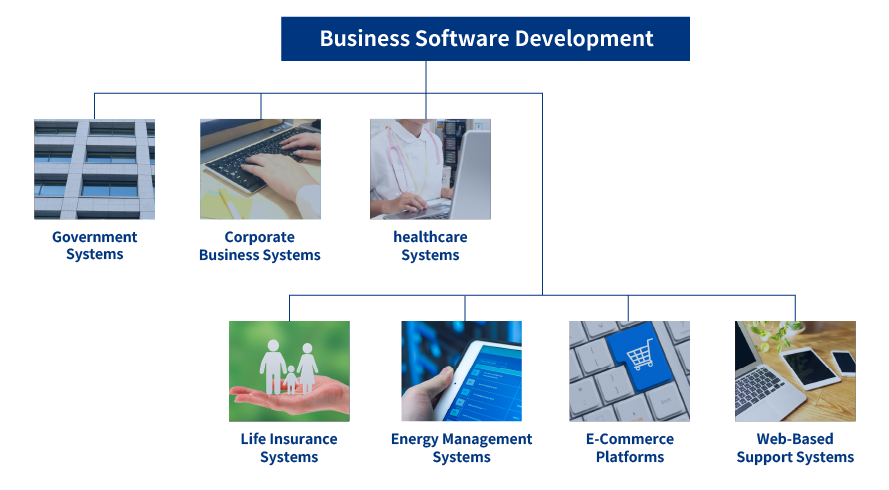 Corresponding areas covered by business software development